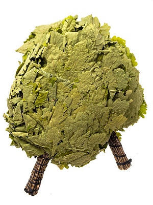 ����� ��� ���� ��� 2�� (2 ������ � ��������� 17512) Kurase